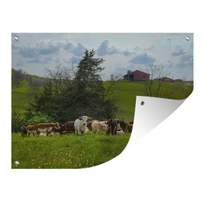 Obrázok produktu pre MuchoWow® Vonkajší plagát - Záhradná dekorácia ochrana súkromia - Záhradné plagáty pre záhradu - Kravy - Dom - Stromy - 120x160x0.2cm