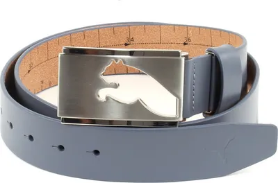 Immagine prodotto di PUMA Pelle cintura Highlight CTL Fitted Belt W115 Folkstone grigio cadetto
