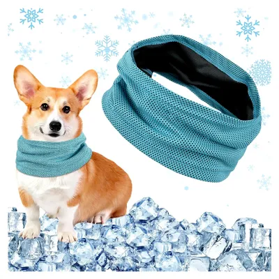 Produktbild von Kühlhalsband für Hunde, kühlendes Halstuch für Hunde, kühlender Hundeschal, Bandana für Hunde zur Kühlung im Sommer