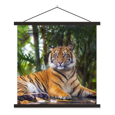 Produktbild von MuchoWow® Textilposter Tiger - Tiere - Wald - Dschungel 60x60 cm mit schwarzem Rahmen - Posteraufhänger