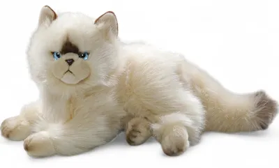 Image de Carl Dick Chat, chat persan Chocolate Point env. 30cm 3201 Doudou, peluche, animal en tissu