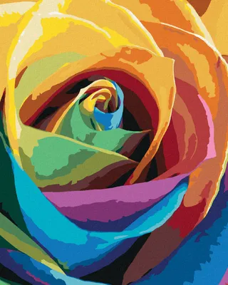 Produktbild von Zuty - Malen nach Zahlen - REGENBOGENROSE, 40x50 cm, ohne Keilrahmen