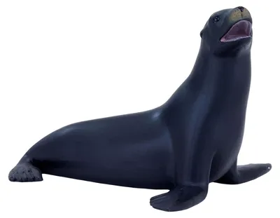 Zdjęcie produktu dla Mojo Fun Californian Sea Lion, 3 lat(a), SEALIFE, Szary, Polichlorek winylu (PVC)