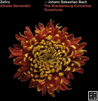 Obrázok produktu pre Johann Sebastian Bach (1685-1750): (CD / B)