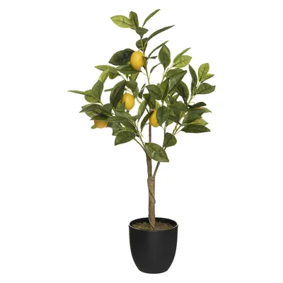 Produktbild von Kunstpflanze Zitronenbaum im schwarzen Topf, H. 73 cm