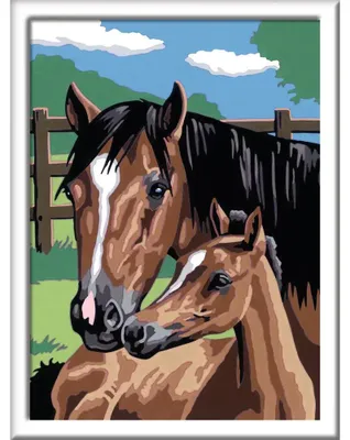 Image de Ravensburger Peinture par numéros Cheval et poulain