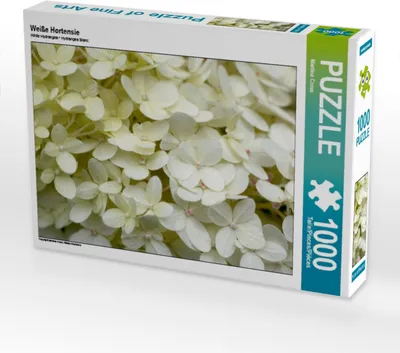 Produktbild von Calvendo Weiße Hortensie 1000 Teile Puzzle quer 640x480mm, Cross Martina; 7312207