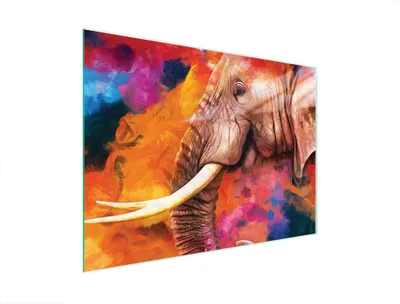 Produktbild von Glasschneidebrett 40x30 Elefant