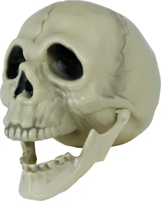 Produktbild von Skelett Tischdekoration Schädel Halloween Dekoration Teschio Gruselig Requisiten, Farbe: Beige