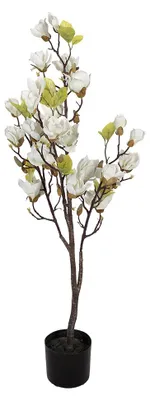 Productafbeelding van Clayre & Eef Kunstplant, magnolia, 20x15x120 cm, wit, kunststof
