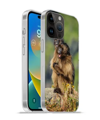 Produktbild von MuchoWow® Handyhülle Schutzhülle Hülle für Apple iPhone 14 Pro - Softcase Affen - Pflanzen - Steine - Familie Silikon Softcase Handy Hülle - Umschlag