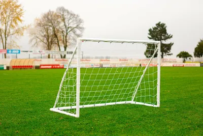 Obrázok produktu pre Pár brán - 2,4 m x 1,5 m - PVC - biela