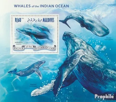 Produktbild von Briefmarken Malediven 2013 Mi Block 637 (kompl. Ausg.) postfrisch Wale