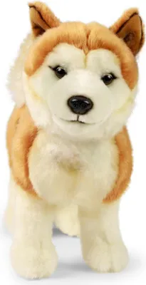 Produktbild von Kuscheltier Hund Akita Inu stehend braun 30 cm