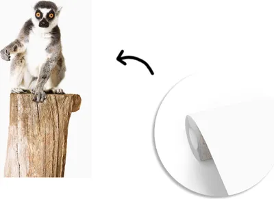 Produktbild von MuchoWow® Fototapete für Wohnzimmer oder Schlafzimmer Wandtapete Vinyl Motivtapete Baum - Affe - Ringelschwanzlemur - 190x280 cm - Küche