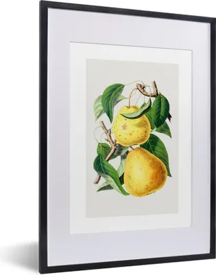 Produktbild von MuchoWow® Gerahmtes Poster Birnen - Lebensmittel - Obst 30x40 cm - Poster mit Schwarzem Bilderrahmen Wandposter Rahmen Foto Bilder - Wandposter Schlafzimmer