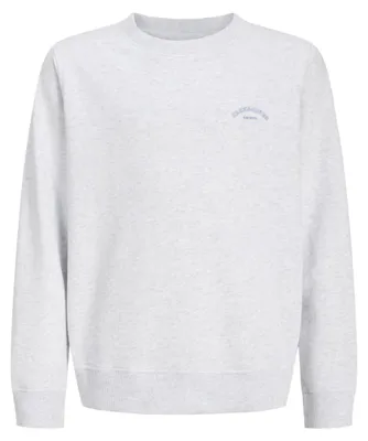 Immagine prodotto di JACK & JONES Jjcollege, felpa con logo, modello per ragazzi