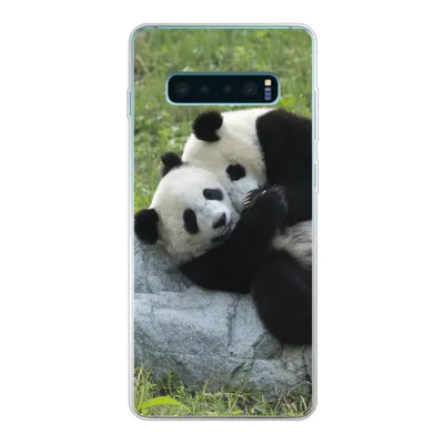 Produktbild von MuchoWow® Handyhülle Schutzhülle Hülle für Samsung Galaxy S10 Plus Pandas - Gras - Stein Silikon Softcase Handy Hülle - Schutzhülle