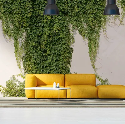 Produktbild von Profhome 392271-GU Fototapete 3D matt grün creme-weiß 3,71 m x 2,8 m