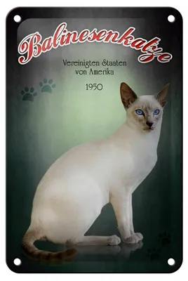 Produktbild von Blechschild Katze 12x18cm Balinesenkatze Amerika 1950