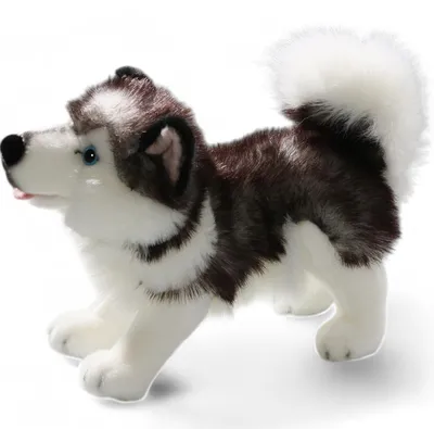 Produktbild von Carl Dick Husky stehend ca. 30cm lang, ca. 25cm hoch 3224 Kuscheltier, Plüschtier, Stofftier