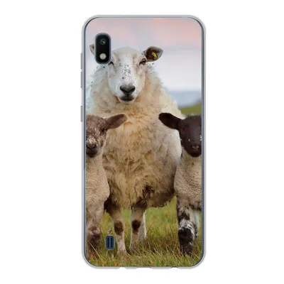 Produktbild von MuchoWow® Handyhülle Schutzhülle Hülle für Samsung Galaxy A10 Schafe - Natur - Schwarz - Weiß Silikon Softcase Handy Hülle - Schutzhülle