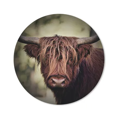 Produktbild von MuchoWow® Mauspad Mousepad Schottischer Hochländer - Licht - Porträt - Natur 50x50 cm - Mousepads - Maus Mat - Pad - Mausunterlage - Vinyl