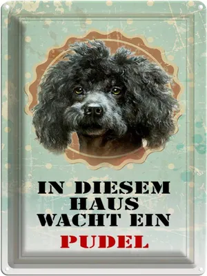 Produktbild von vianmo Blechschild 40x30 cm Hund in diesem Haus wacht ein Pudel