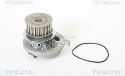 Produktbild von TRISCAN Wasserpumpe 8600 24894