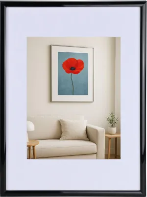A framed picture of a red poppy hangs on a wall above a sofa.