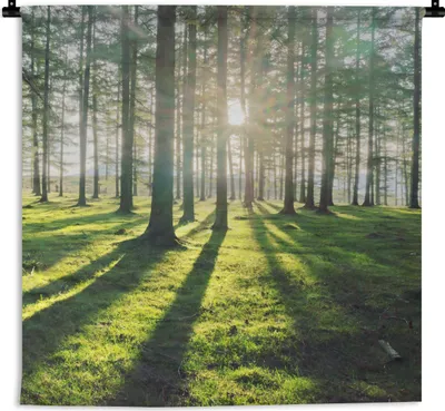 Produktbild von MuchoWow® Wandteppich Wandbehang Bäume - Natur - Wald 60x60 cm Tapisserie Dekoration Wandtuch - Dekorationen - Wand Decke