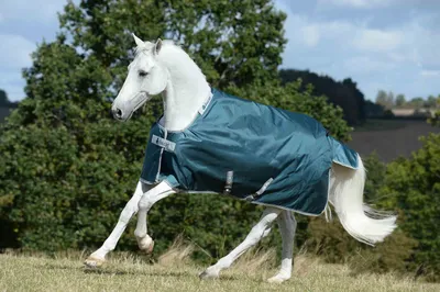 Produktbild von Bucas Atlantic Turnout 50 g Outdoordecke, Weidedecke in zwei Farben, Farbe:Atlantic/Silver, Größe:125