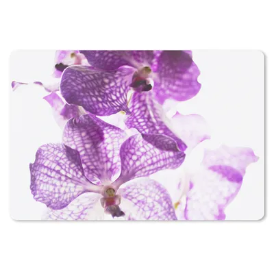 Produktbild von MuchoWow® Schreibtischunterlage Lila Orchideen 60x40 cm - XXL Mauspad - Großes Mauspad