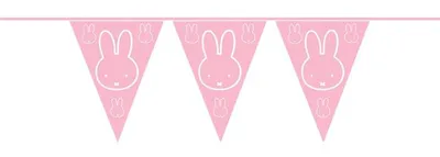 Image de Haza Flag -Ligne 10 Mtr fille/Miffy