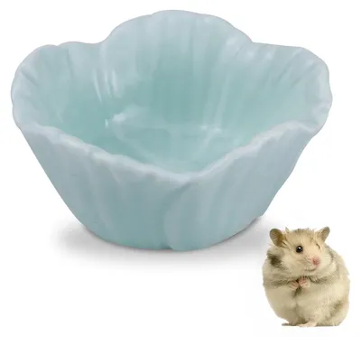 Produktbild von Keramiknapf Futternapf Hamsternapf - 6,8 x 6,8 x 3,5 cm - Blau - Für Hamster und Kleintiere