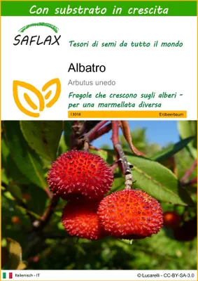 Immagine prodotto di SAFLAX  - Albatro - 50 semi - Con substrato - Arbutus