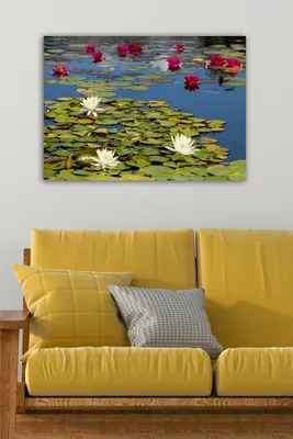 Productafbeelding van Wallity, 154086938 - TCR1803, Bunt, canvaswerken, 50 x 70 cm, 100% canvas