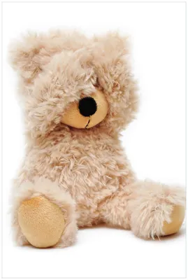 Produktbild von Wallario Premium Glasbild, freischwebende Optik, kräftige Farben, Größe 90 x 60 cm Motiv Süßer Teddybär