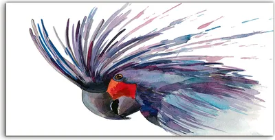 Produktbild von Coloray Acrylbild 100x50  Wandbild Acrylbilder Foto Bild Kakadu Papagei Vogel