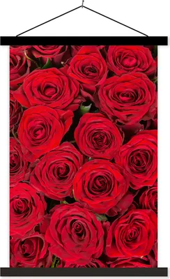 Produktbild von MuchoWow® Textilposter Rosen - Blumen - Blumenstrauß 120x180 cm mit schwarzem Rahmen - Fotos
