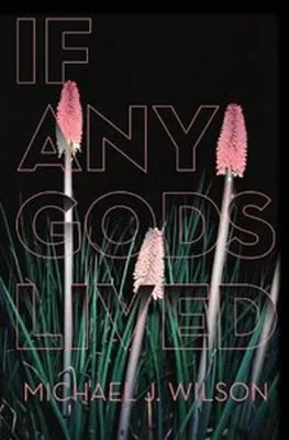 Obrázok produktu pre If Any Gods Lived