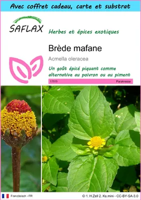 Image de SAFLAX Ensemble-cadeau - Brède mafane - 500 graines - Acmella