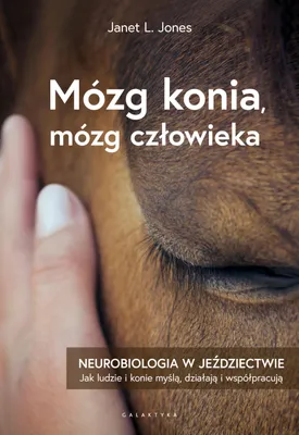 Image de Mózg konia, mózg człowieka. Neurobiologia w jeździectwie