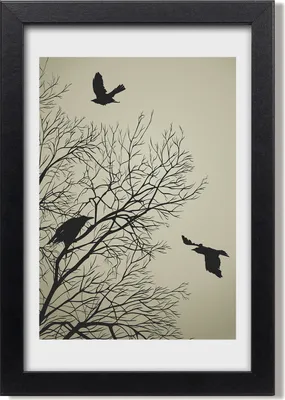 Produktbild von Bild 20x30 MDF-Rahmen, Wandkunst Krähen auf dem Baum
