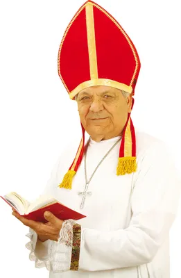 Immagine prodotto di Mitra - cappello vescovile carnevale - cappello vescovile - copricapo clericale papa