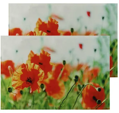 Produktbild von Tischsets Textil CLOTH Mohnblumen Blumen 2er Set 45x30 cm