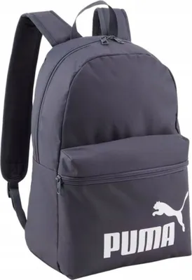 Produktbild von Puma Rucksack Phase Galactic Gray
