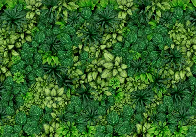 Zdjęcie produktu dla Fototapeta flizelinowa rośliny 450x315 cm fototapeta XXL natura botanika tropikalne liście b-B-0601-a-a