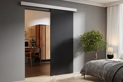 Produktbild von Schwebetür 70 cm Doris - Schiebetür Wohznimmer, Schlafzimmer, Design Zimmertür - Schiebetürsystem (Graphit)