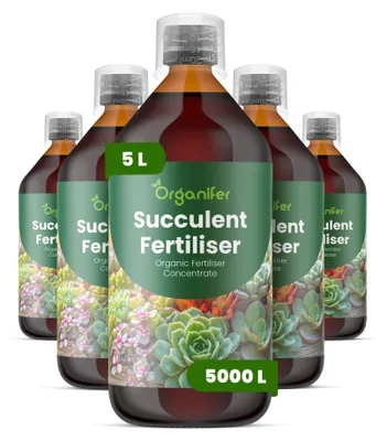 Produktbild von Flüssigdünger Für Sukkulenten 5x1L – 2-1-8 NPK – Flüssig-Pflanzendünger Für Sukkulenten – Organifer